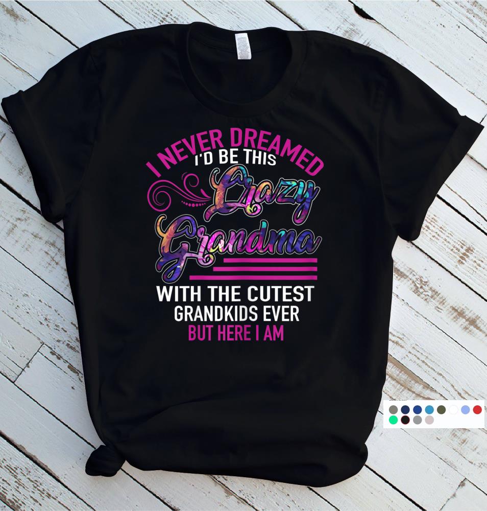 Womens I Never Dreamed Id Be This Crazy Grandma Funny Gift T-Shirt