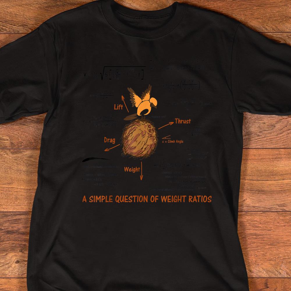 Math a simple question of weight ratios Shirt T-Shirt