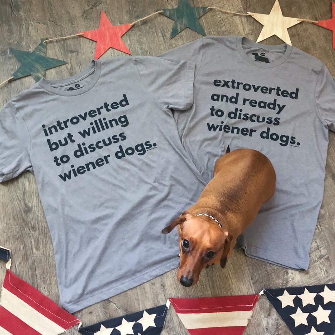 introverted  but willing to discuss wiener dogs. extroverted and ready to discuss wiener dogs