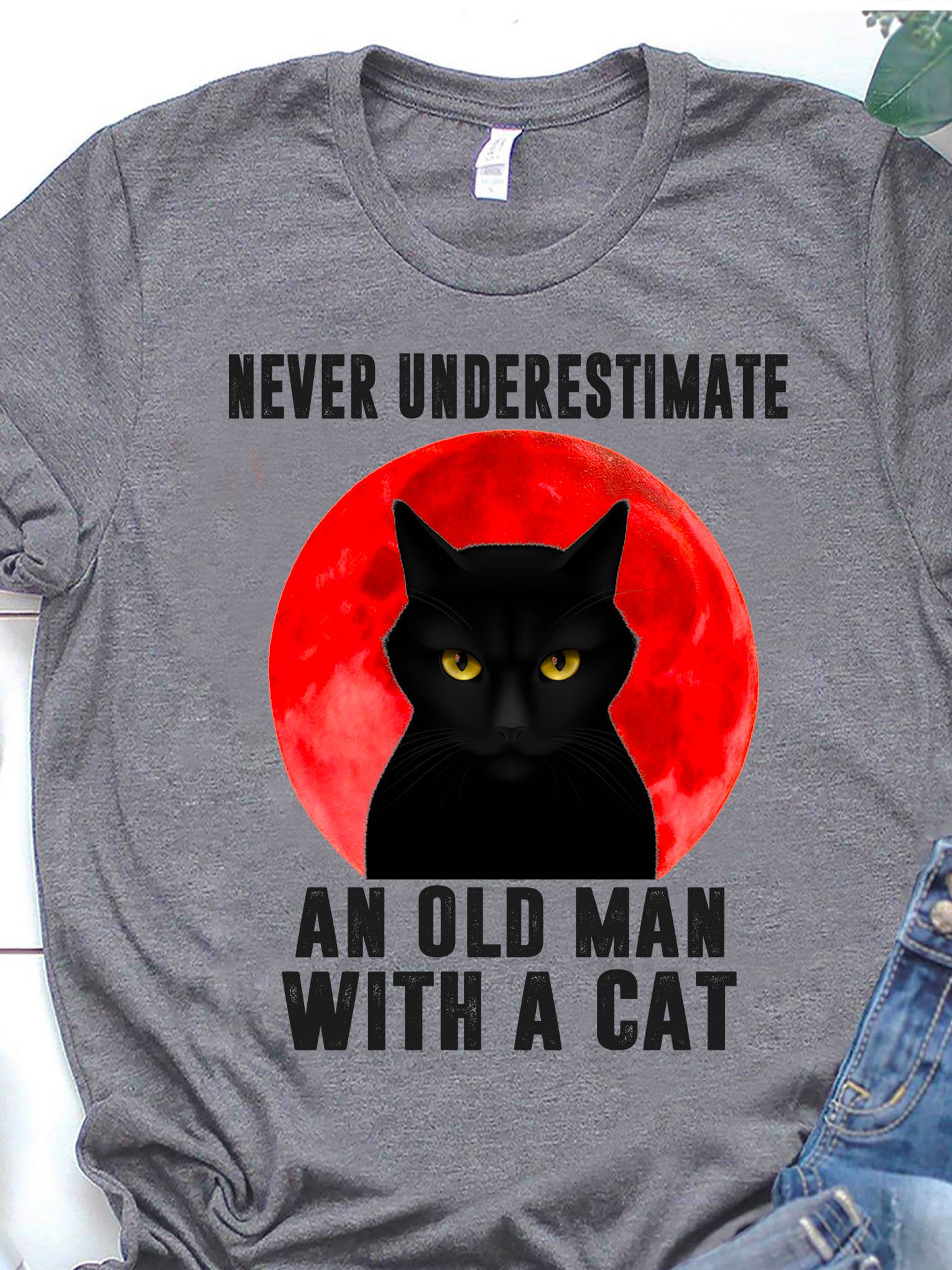 never underestimate an old man with a cat
